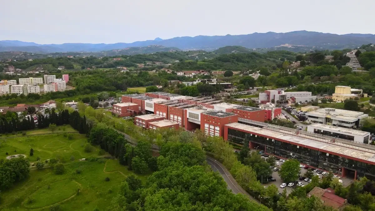 L’Unical brilla nel World University Rankings 2026: presente con sette aree disciplinari