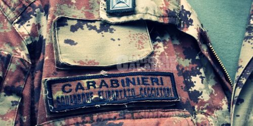 ndrangheta cacciatori calabria