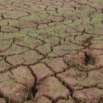 Clima, allarme siccità in Calabria: 121 giorni consecutivi senza pioggia sulla costa ionica