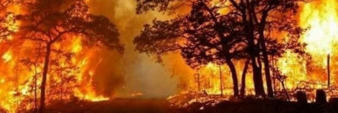 Incendi, Italia nella morsa. In Calabria oggi il maggior numero di roghi