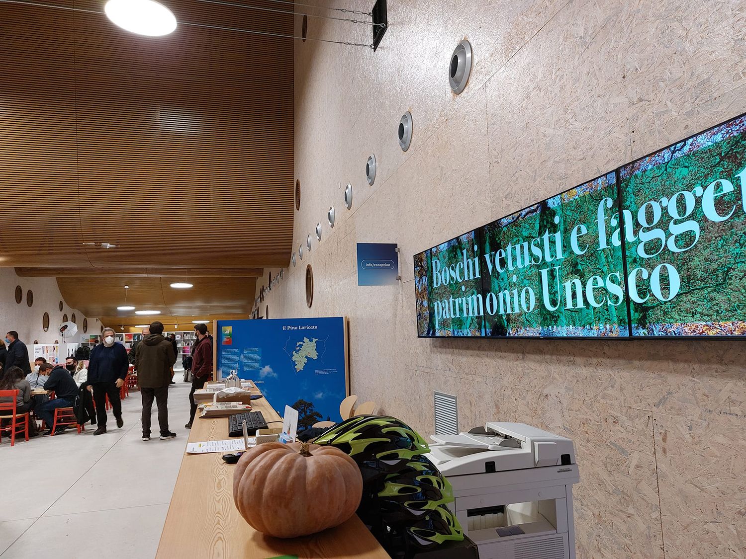 «Il Pollino al centro delle grande rete di boschi vetusti e faggete Unesco»