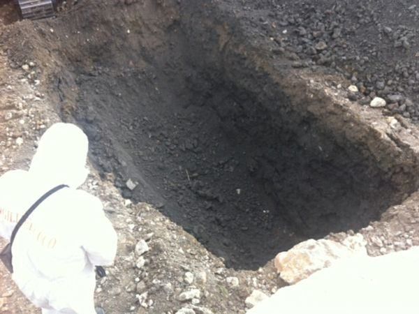 Veleni nell'Oliva, i testi della difesa: mai nulla di anomalo