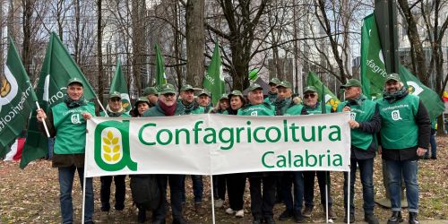 confagricoltura calabria