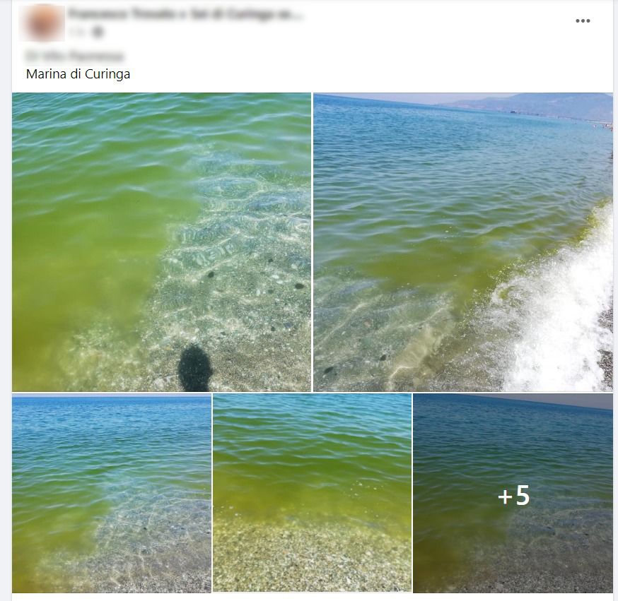 Mare inquinato tra Pizzo e Nocera, riflettori accesi sui fiumi Angitola e Amato