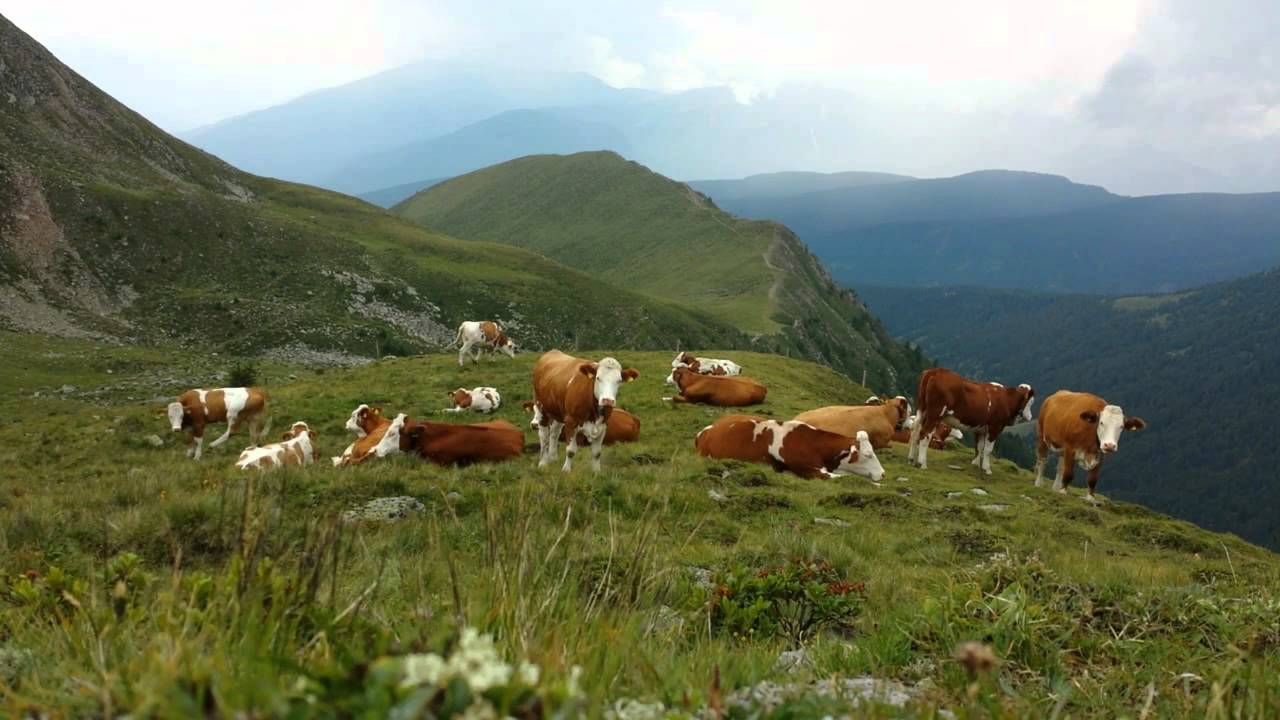 Le “mani sulla montagna”, non solo della mafia