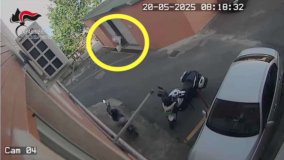 Rifiuti sanitari pericolosi nella griglia della rete fognaria, infermiera denunciata a Paola – VIDEO