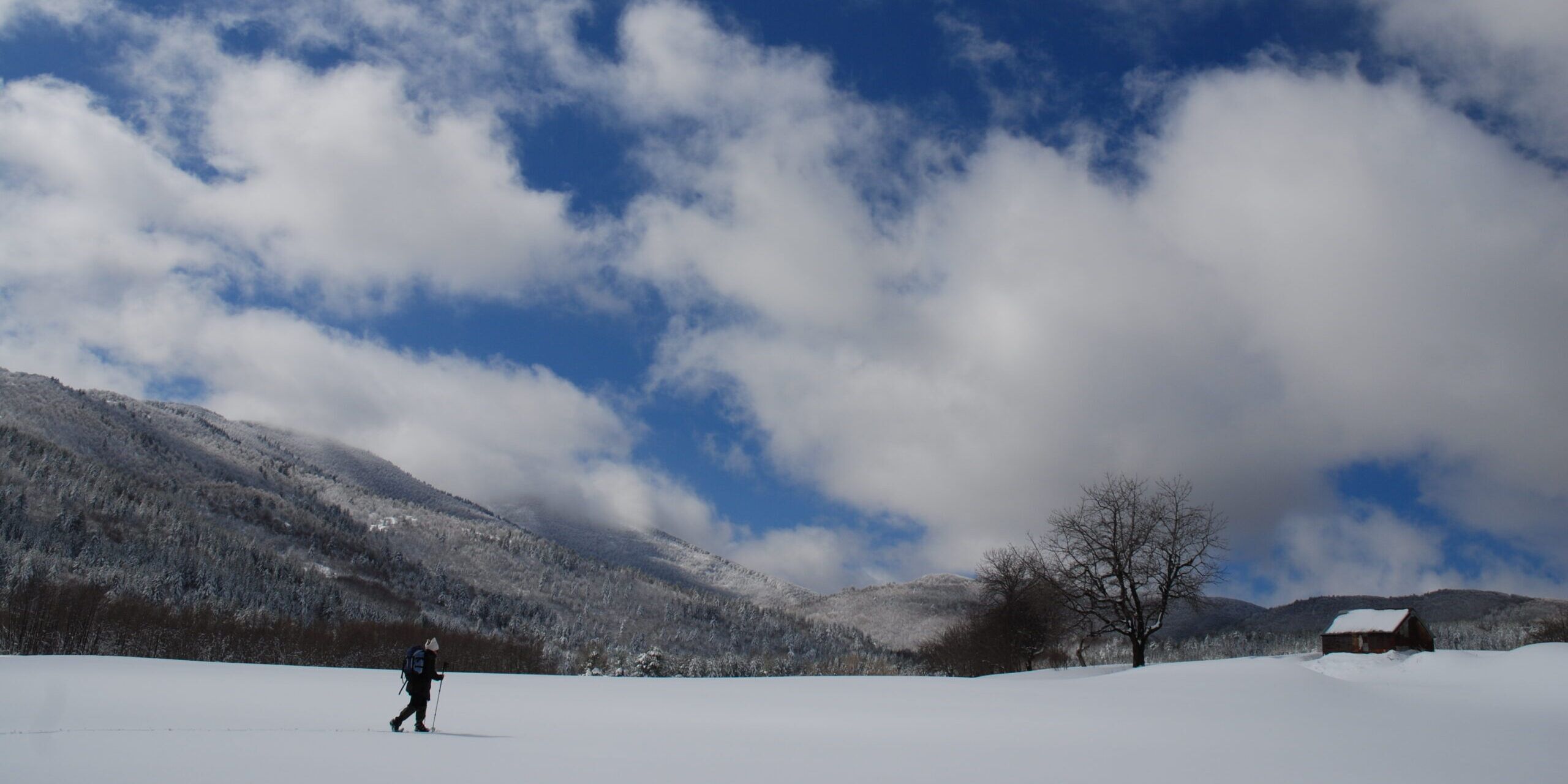 «”A Natale puoi”… o forse no»
