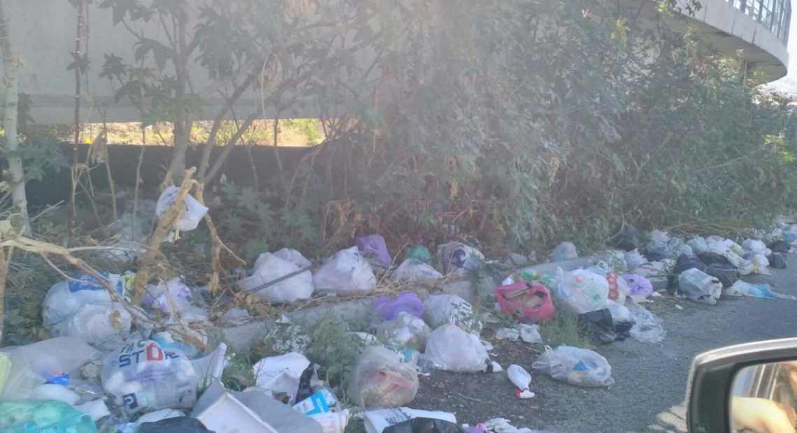 «Stanchi del degrado di San Gregorio a Reggio»