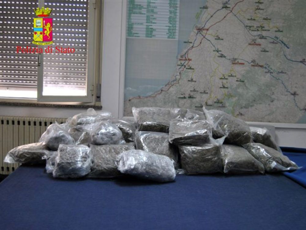 Gioia Tauro, 50 chili di marijuana nascosti in un canneto