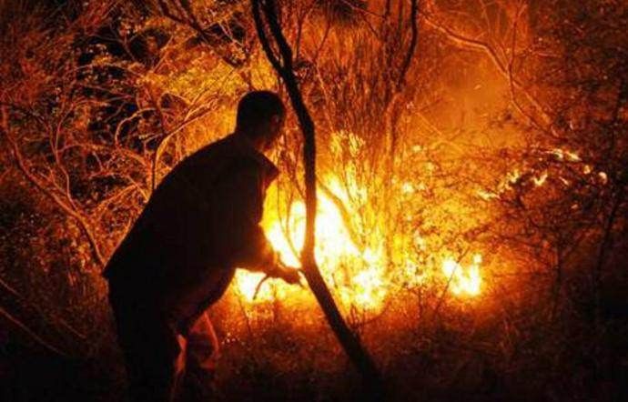 Reggio, arrestato piromane