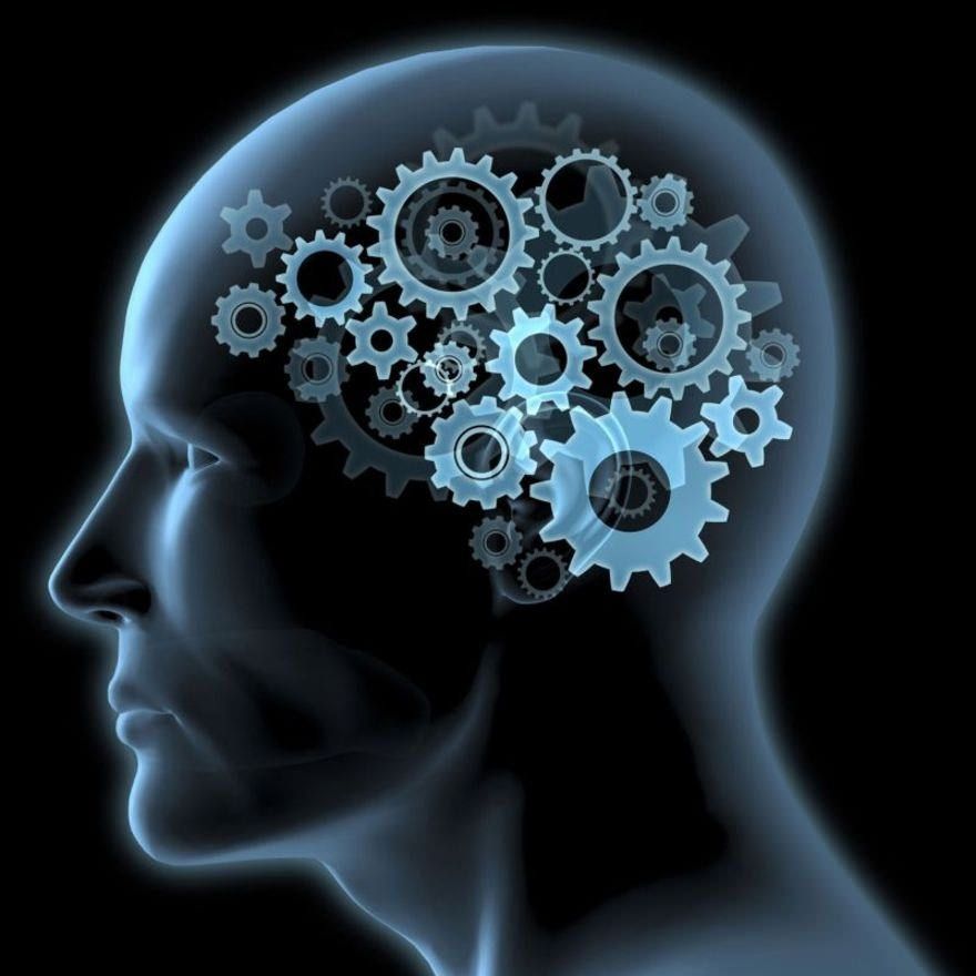 Cnr e Università Magna Graecia scoprono la causa del "déjà vu"