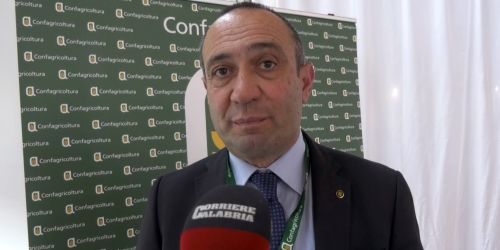 Macfrut, Cilento: «Necessario continuare la discussione nel Tavolo ortofrutticolo»