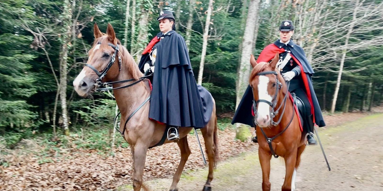 Carabinieri a cavallo nelle Serre Vibonesi e nell’area del Monte Poro – FOTO