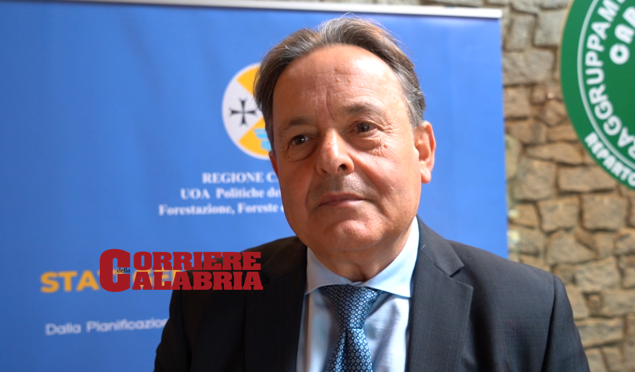 Giuseppe Oliva confermato direttore generale di Calabria Verde