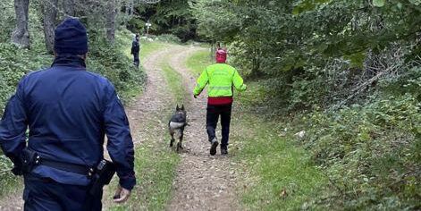 Sila, ritrovato dai carabinieri l’anziano disperso in cerca di funghi: sta bene