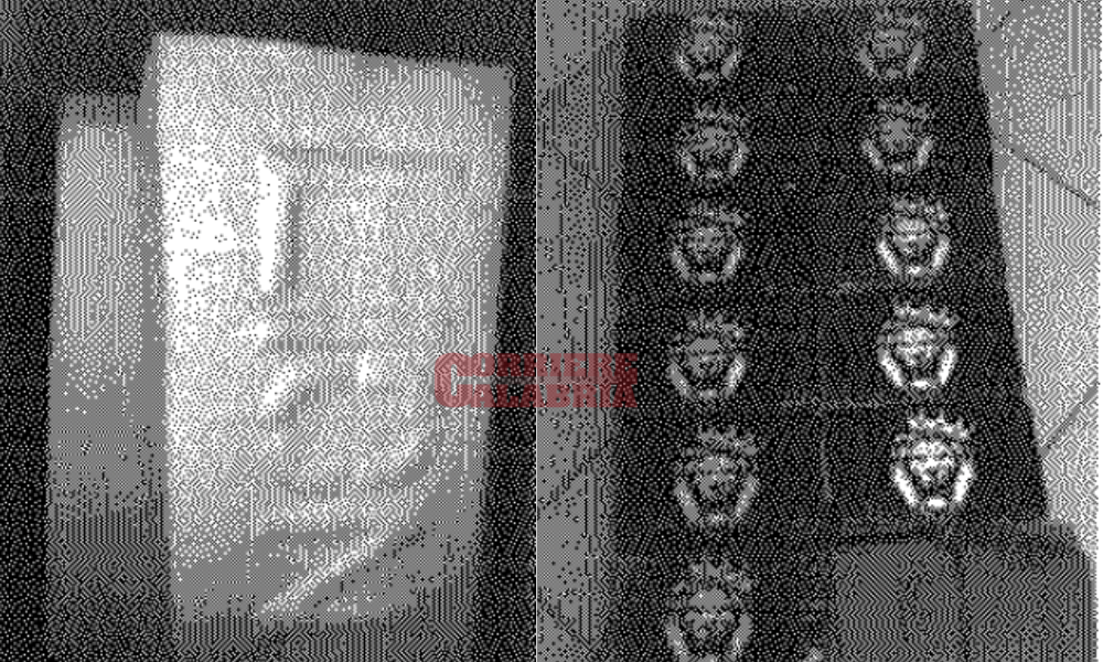 Il marchio “Lion” sulla cocaina importata dall’Olanda dai clan. Sulle piazze milanesi «la vogliono che si vede scaglia»