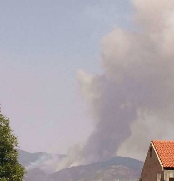Calabria ancora assediata dagli incendi, in azione canadair