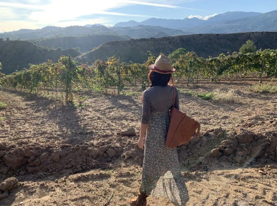 Turismo, l’enogastronomia ricetta di riscatto della Calabria