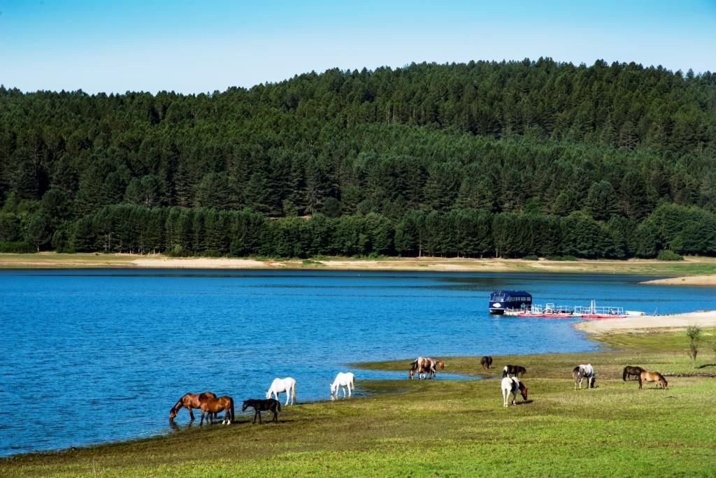 Lorica Lake, al lago Arvo la gara in acque libere nel primo weekend di luglio