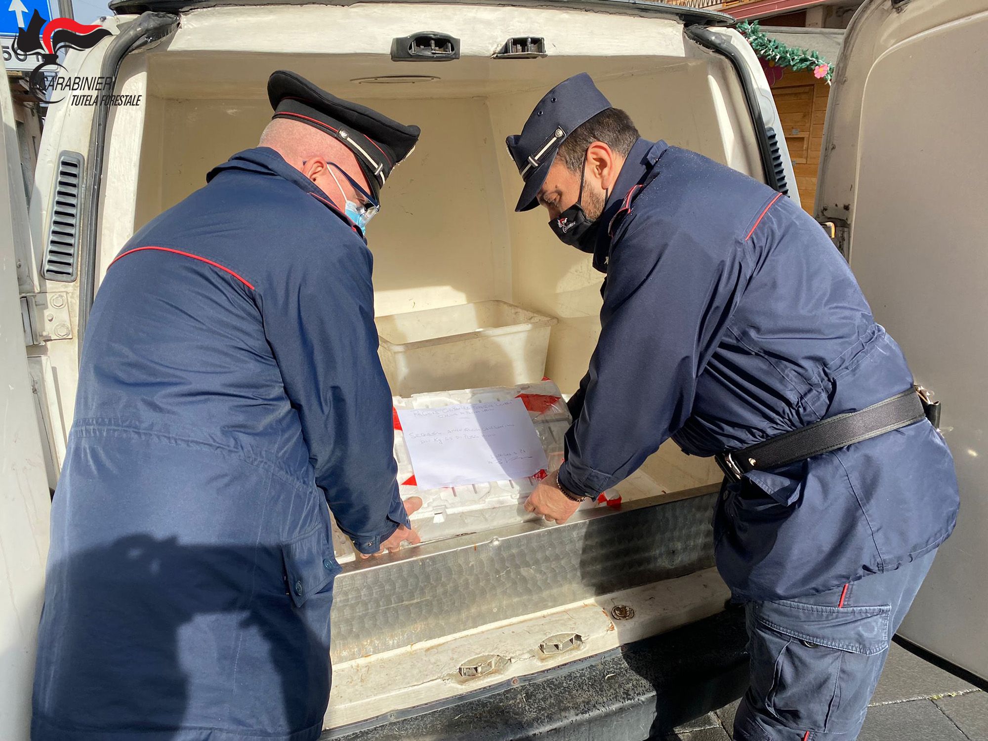 Lattarico, sequestrati oltre 5 chili di pesce in cattivo stato di conservazione