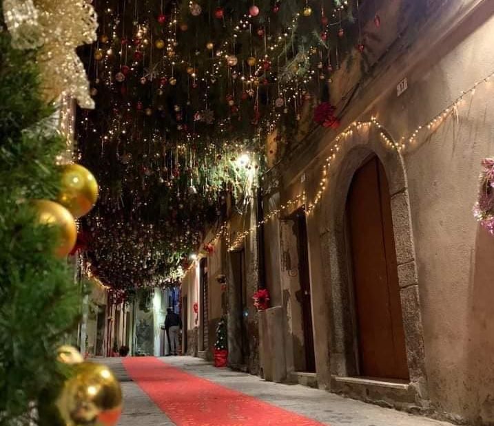 “Viale del Vischio” e alberi fatti a mano. In Calabria è già Natale – FOTO E VIDEO