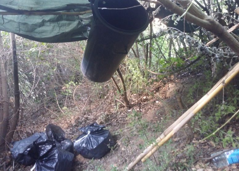 Rinvenuti 6,5 kg di marijuana nelle campagne di Placanica