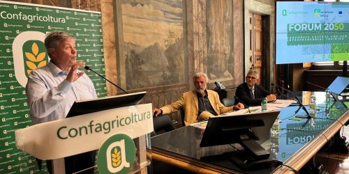 Berruto_Rossi_Mastroberardino