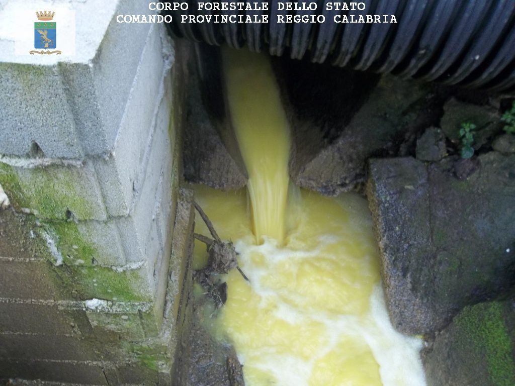 Scarico illecito di reflui, denunciato il titolare di un frantoio