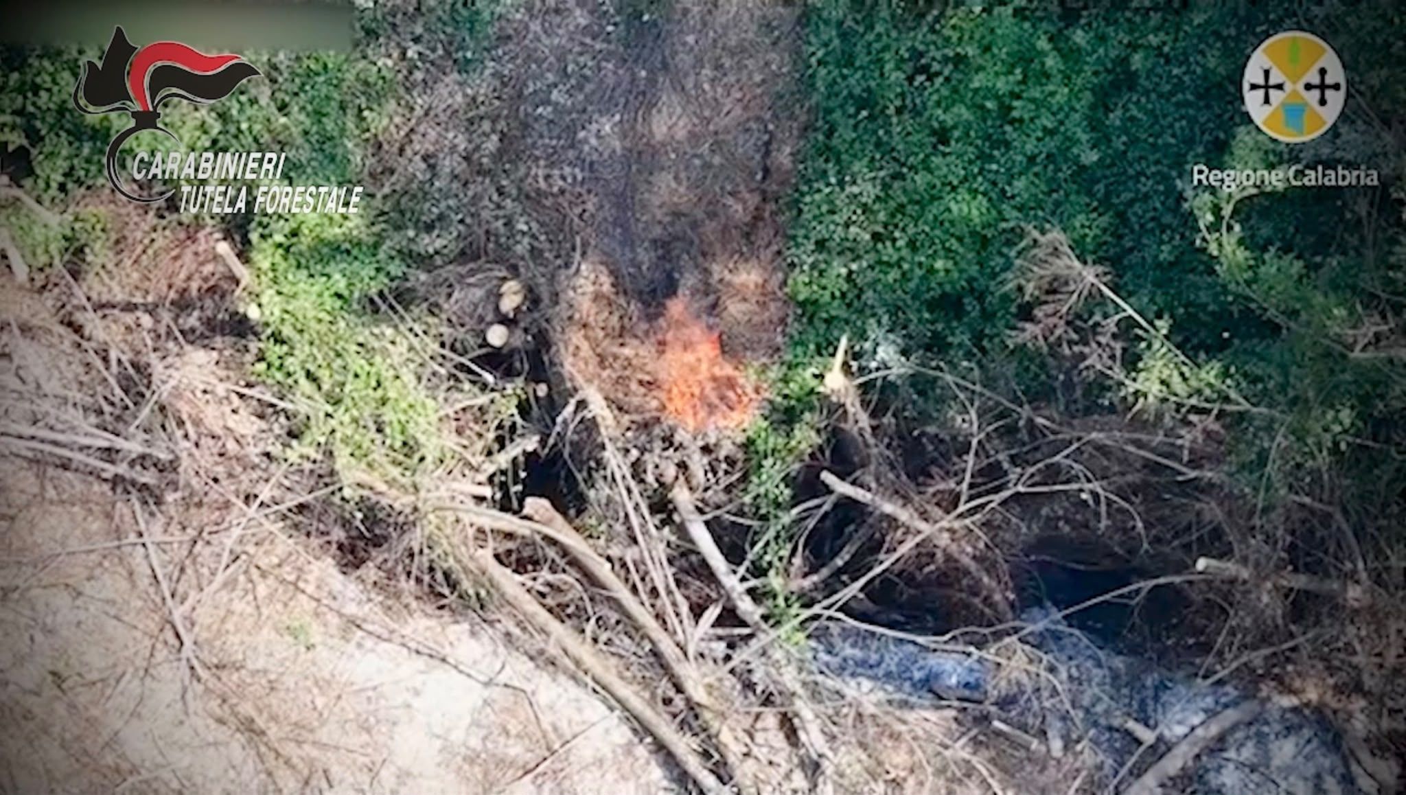 Mileto, arrestato un 49enne accusato di incendio boschivo – FOTO E VIDEO