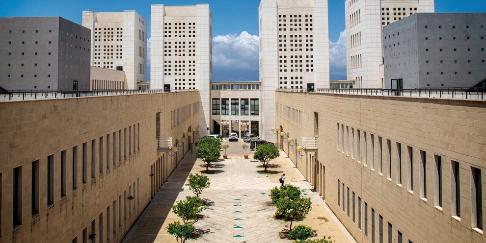 Università Mediterranea, cresce la componente femminile (anche in area Stem)