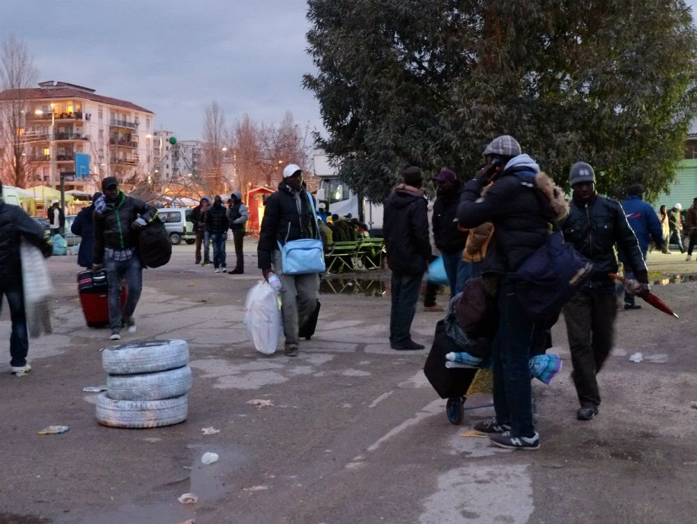 Animali in Fiera, tolleranza zero Vendita vietata e multe fino a 500 euro