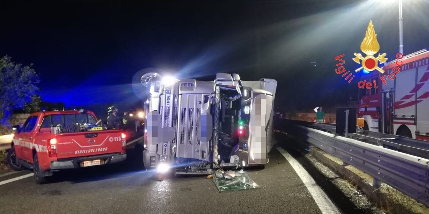 Statale 280 a Catanzaro, si ribalta tir che trasporta bovini – VIDEO