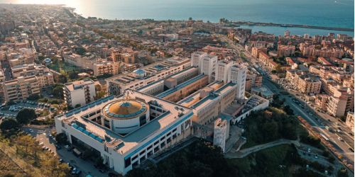 unirc mediterranea reggio