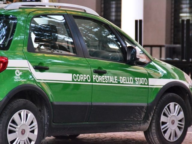 Rimuove i sigilli dalla sua azienda sequestrata, arrestato