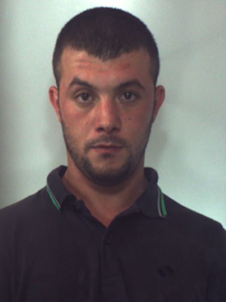 L’oro verde dei clan e il primo pentito dei Mancuso