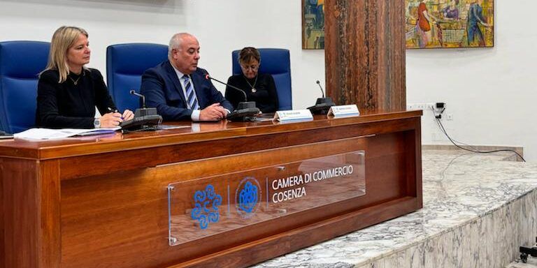 Pnrr e sviluppo territoriale, al via l’alta formazione della Camera di commercio di Cosenza