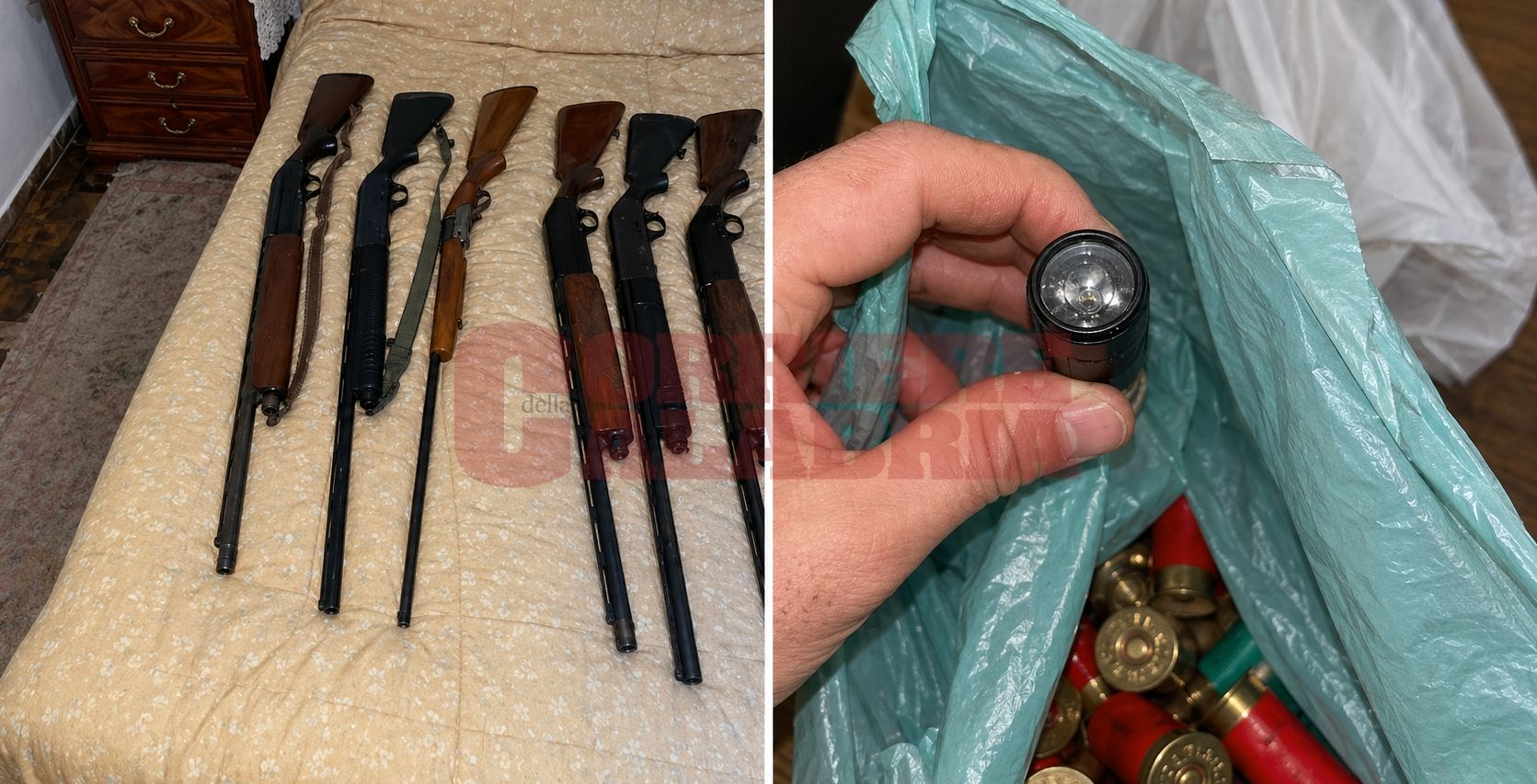 «La mafia qua è, noi siamo compare»: armi, molotov e un topo bruciato vivo