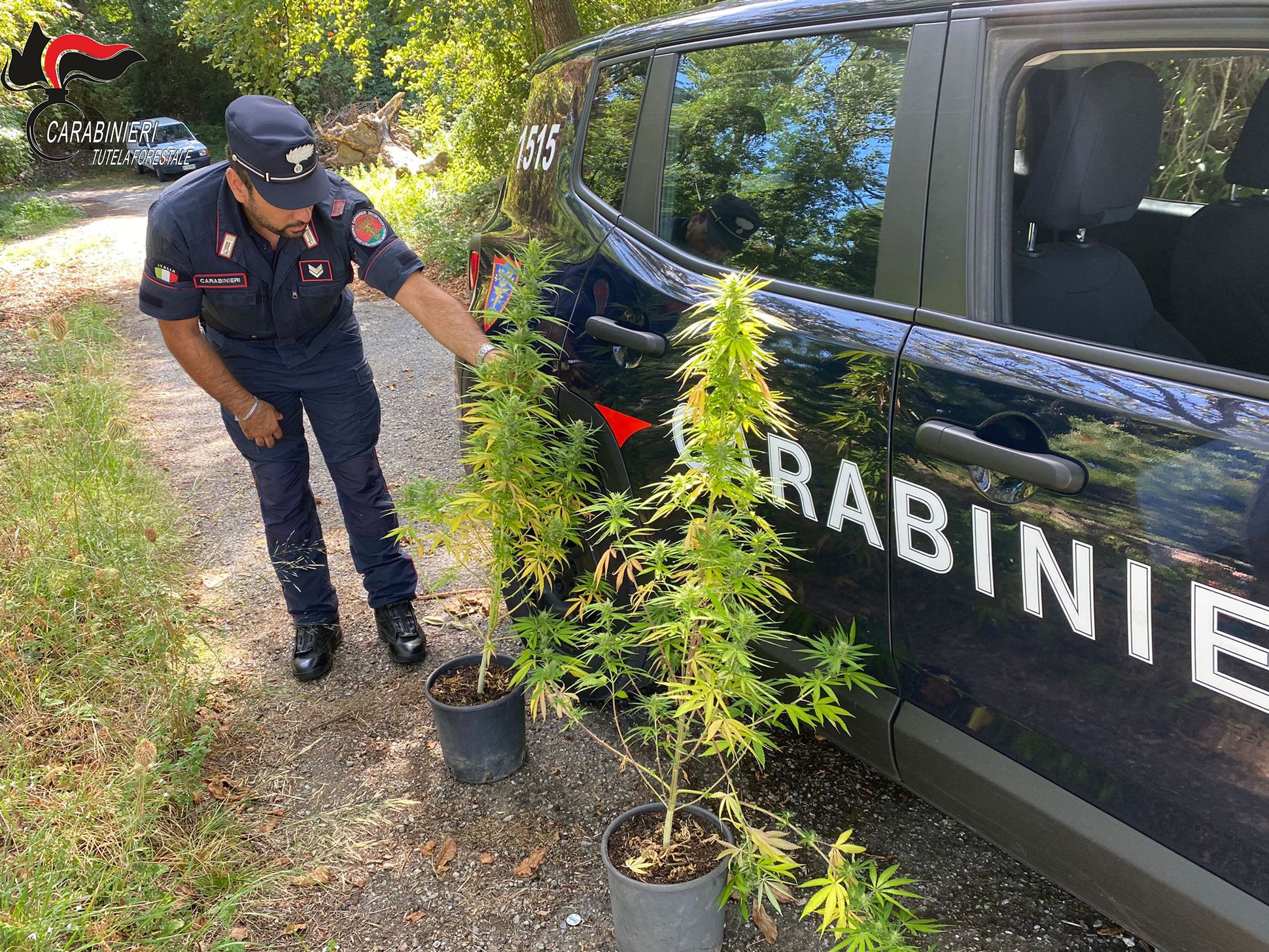 Lotta al crimine nel Cosentino, 6.400 controlli dei Forestali in sei mesi