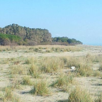 Dune di Giovino, un progetto per restituire valore a uno dei tesori naturali di Catanzaro