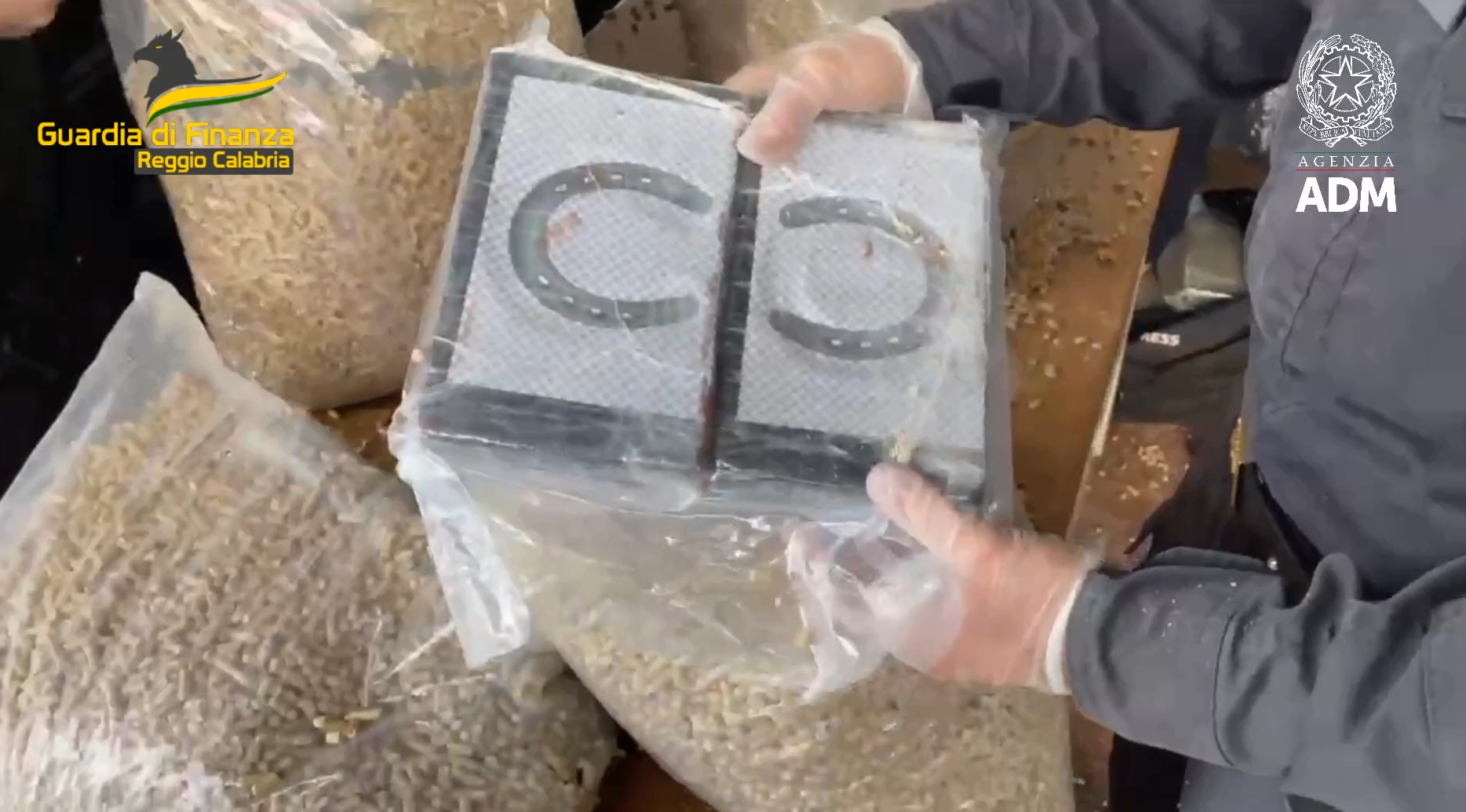 Colpo alla ‘ndrangheta: sequestrata oltre una tonnellata di cocaina al porto di Gioia Tauro – FOTO E VIDEO