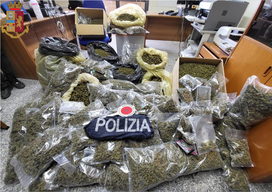 Vibo Valentia, deteneva 51 kg di marijuana in casa: arrestato
