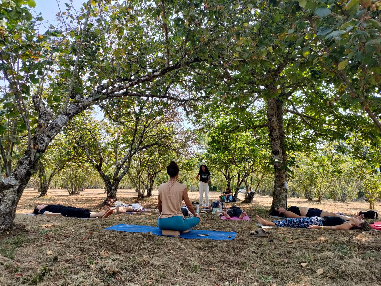 La Nocciola Tonda calabrese protagonista del festival ‘Ntramenti