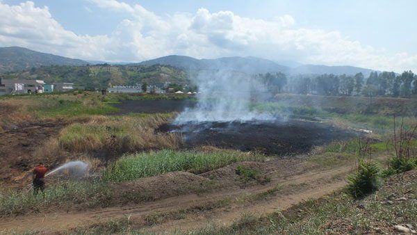 Ex Legnochimica, revocato incarico al prof dell'Unical