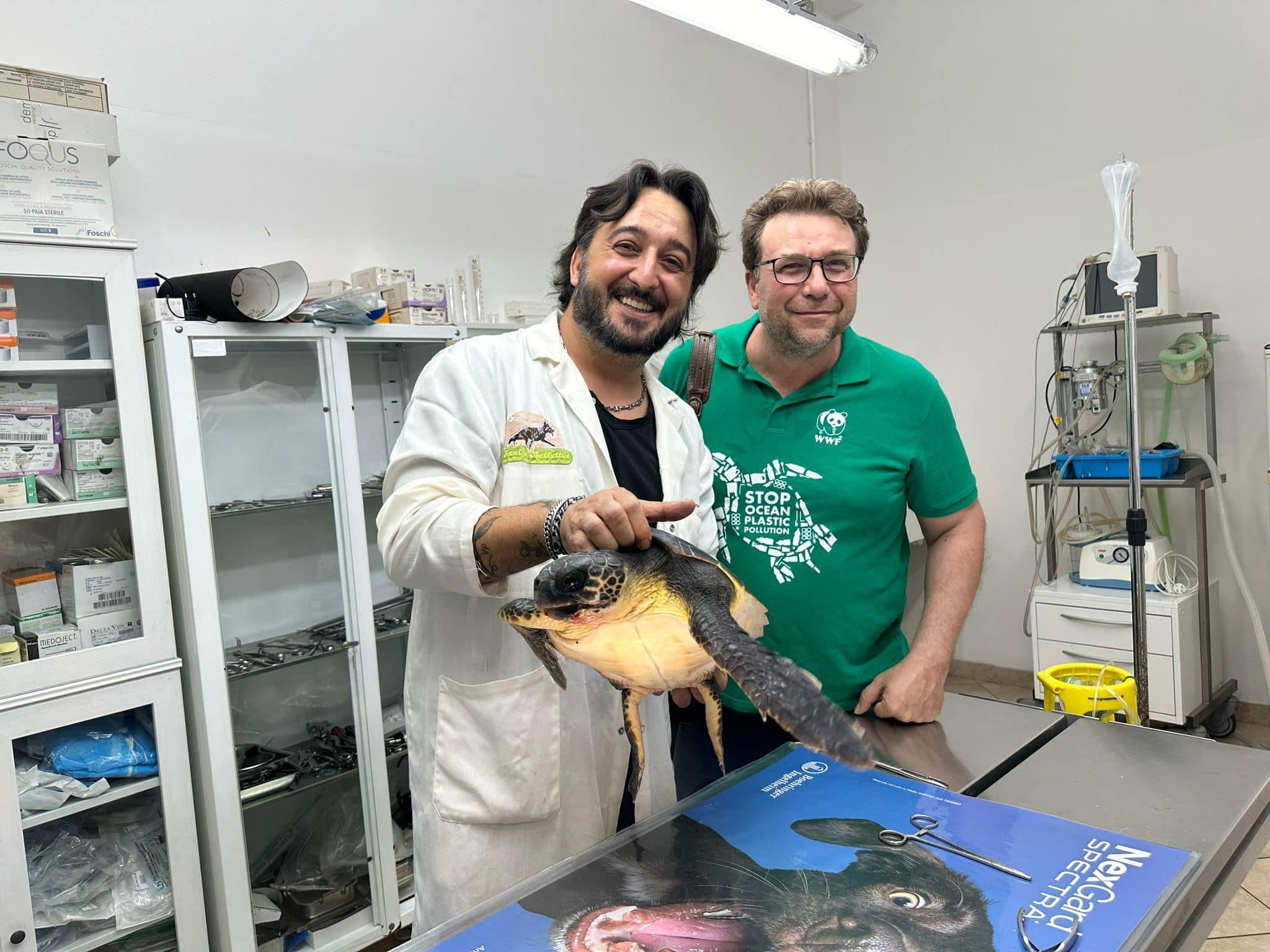 Ritrovata una tartaruga a Strongoli Marina: Vincenza sarà accolta nel Centro di recupero e soccorso