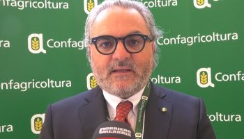 Lo shock della guerra sui territori. Confagricoltura Calabria: «A rischio il futuro delle imprese»