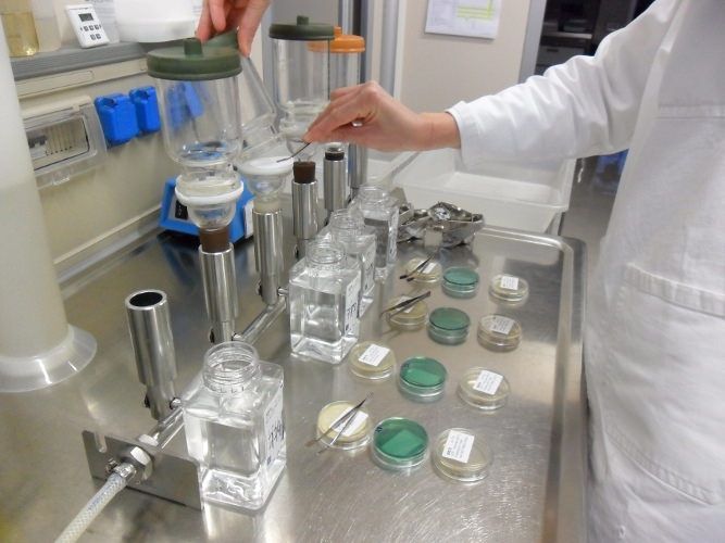 Balneazione, una non conformità a Praia a Mare