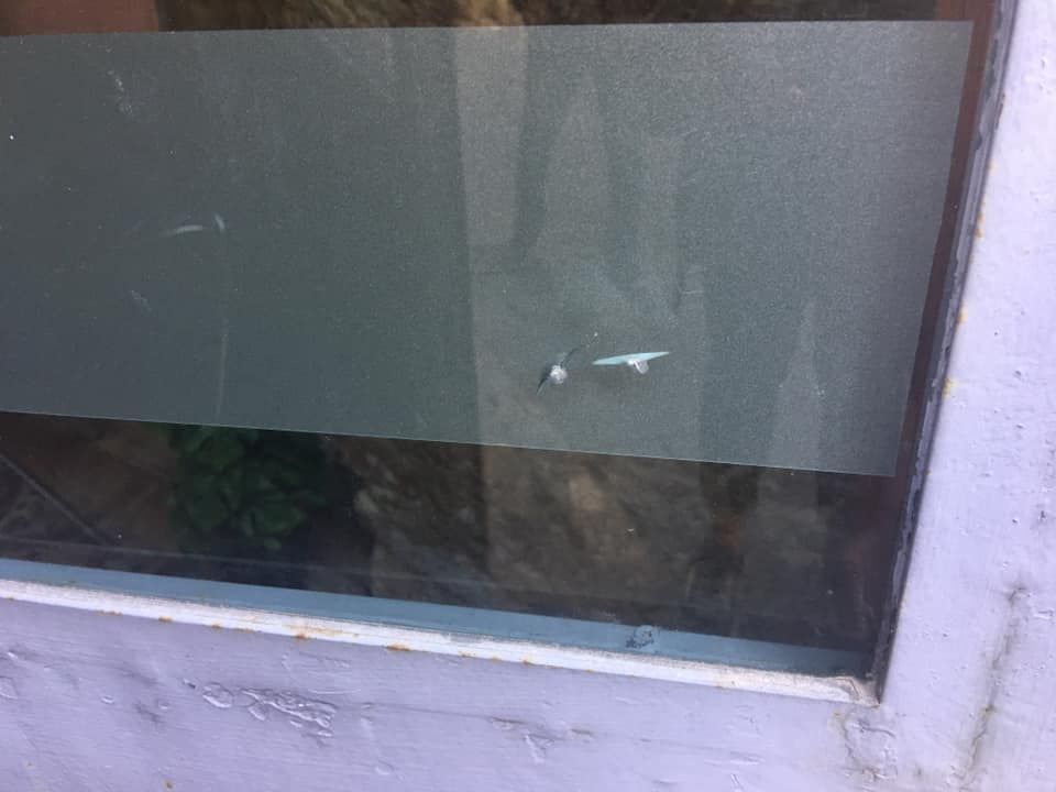 Danneggiati vetri centro oncologico che offre gratis assistenza