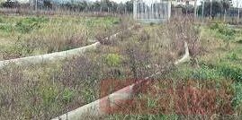 «Sul Parco Savutano regna ancora il silenzio»