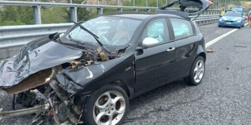 incidente campotenese mormanno