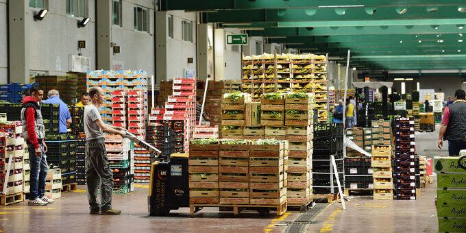 L’impatto dei dazi Usa sul settore agroalimentare, Catanzaro tra le province più esposte
